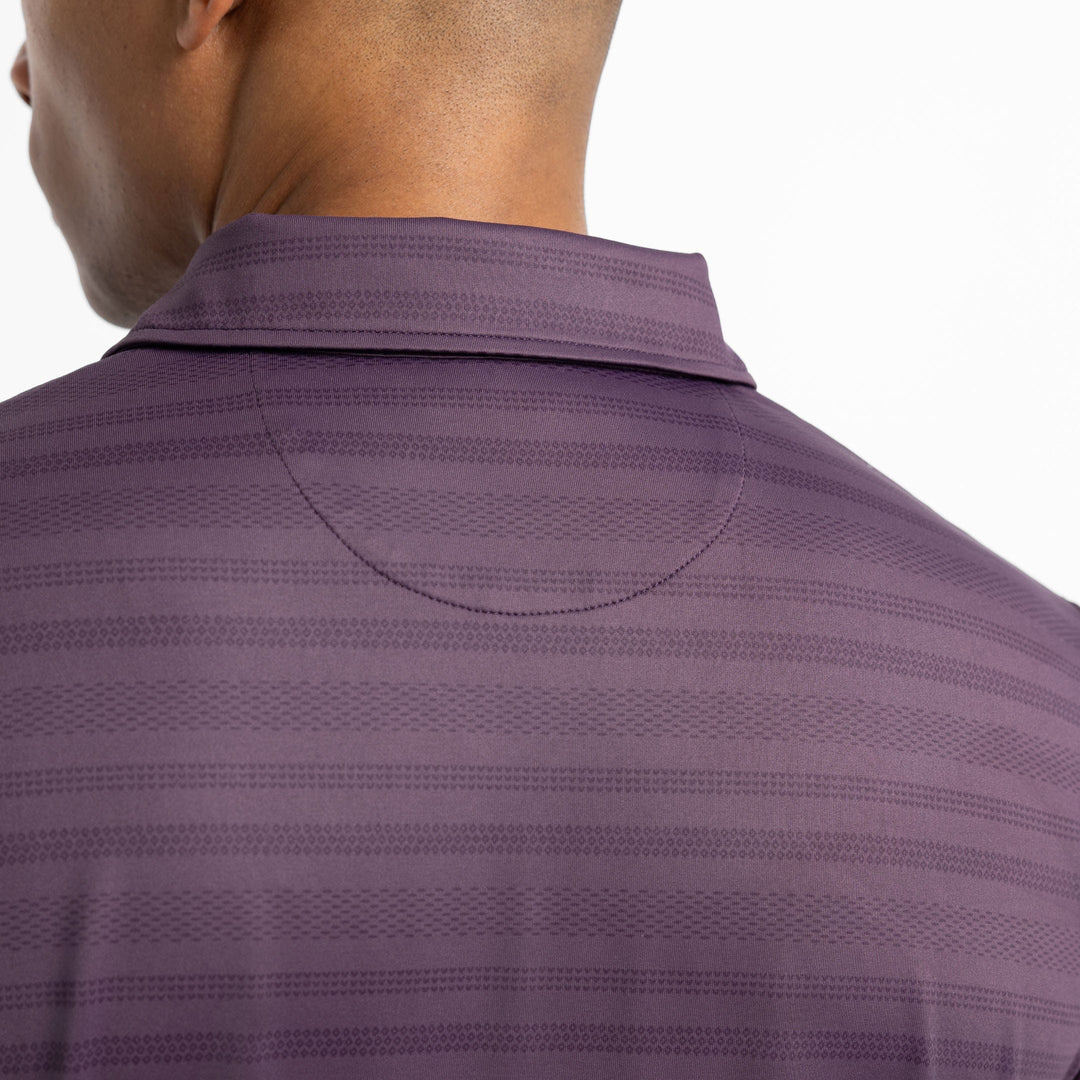 Ash & Erie Plum Textured Stripe Tech Polo Shirt for Short Men   Tech Polo Shirt