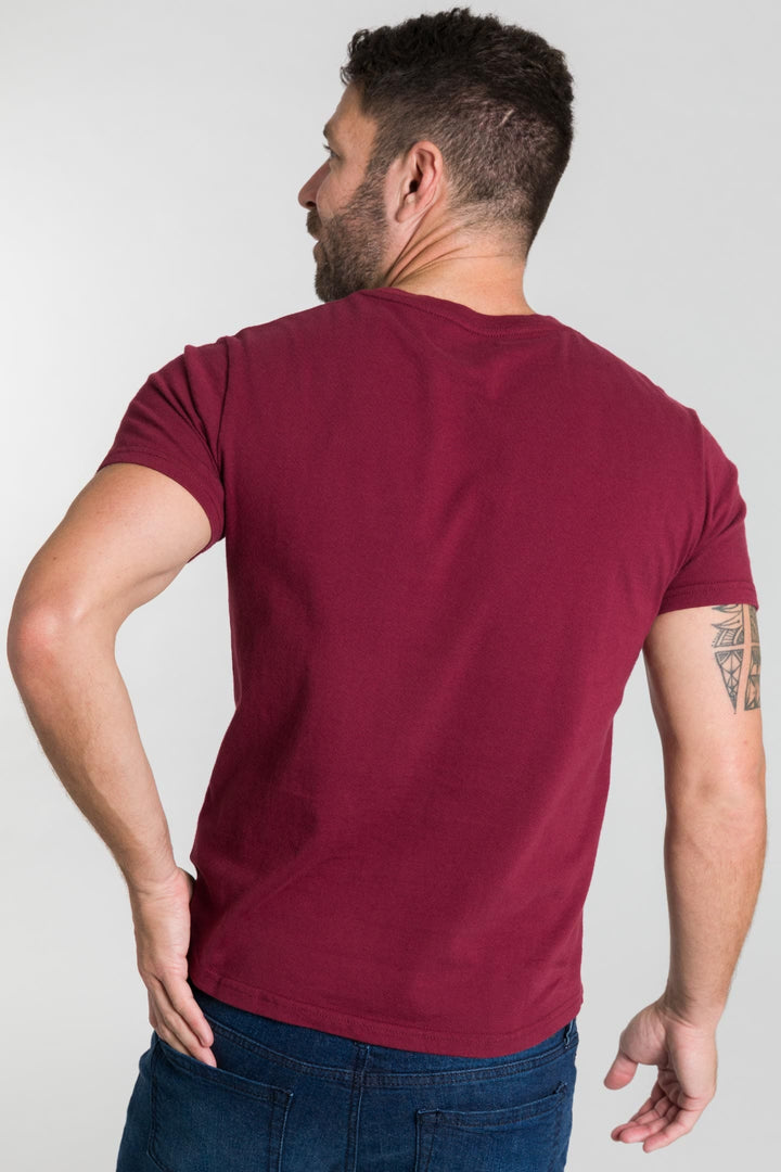 Buy Burgundy Port V-Neck T-Shirt for Short Men | Ash & Erie   T-Shirts
